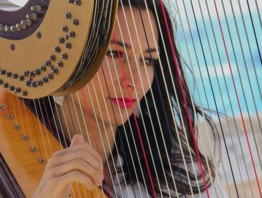 Harpiste et Animation Originale pour Événements Professionnels et Privés à Toulon