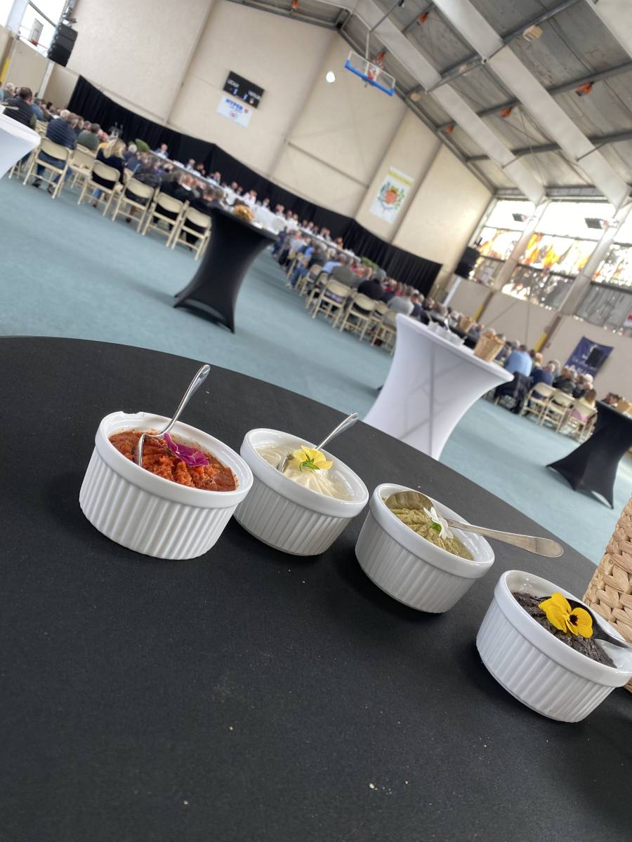 Renforcez la cohésion de vos collaborateurs avec un Team Building quizz ou blind test dans le Var, une activité ludique et fédératrice.