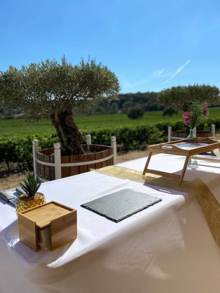 Lieu de réception Roquebrune sur Argens Le Domaine de la Bouverie