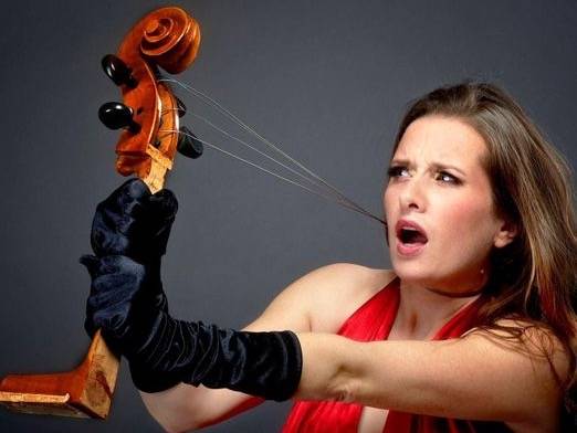 Animation Violoncelliste et Sonorisation Événementielle à Toulon