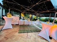 Nos prestations sur le secteur de Cannes Côte d'Azur (06)